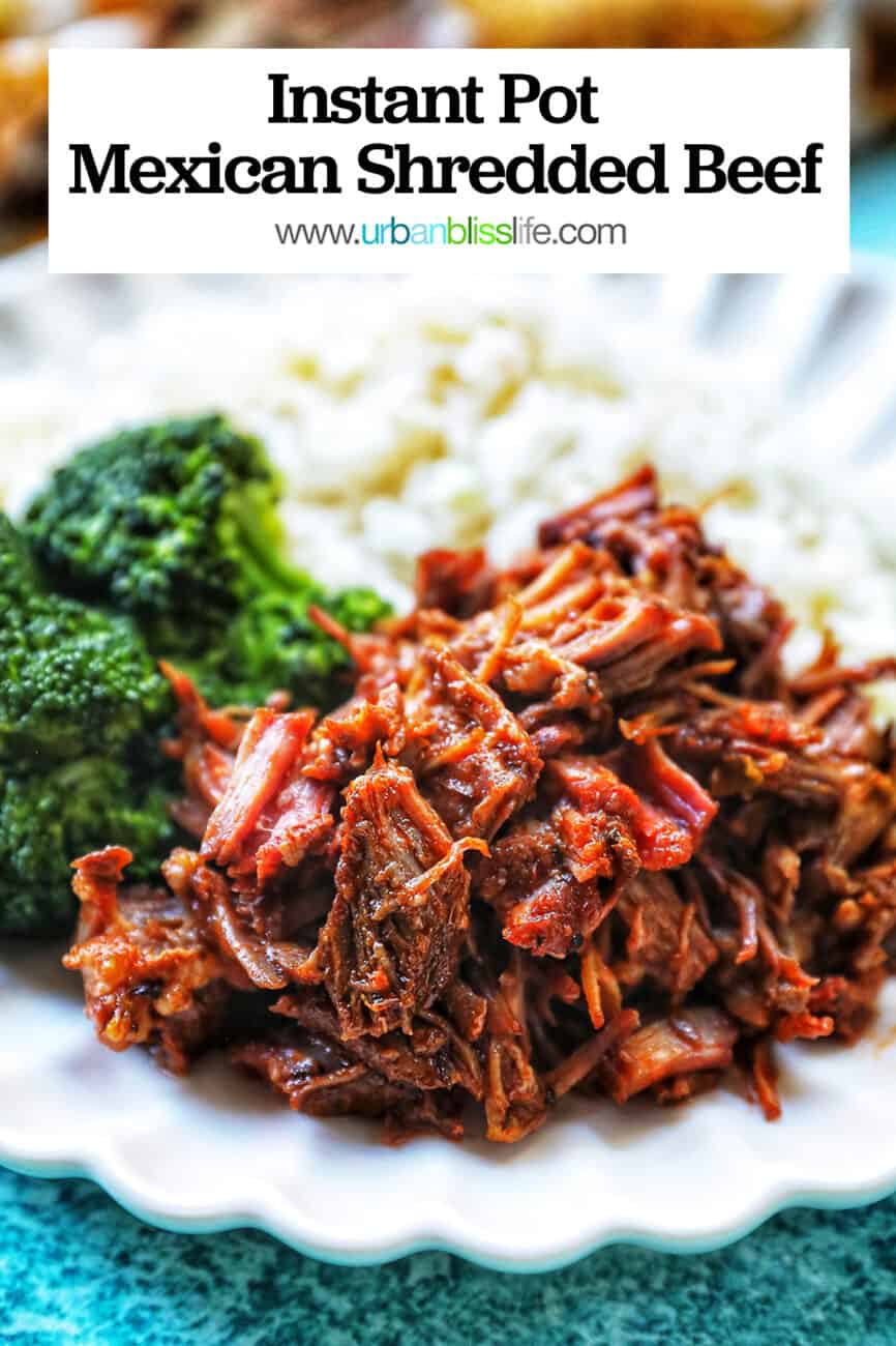 Mexican shredded beef on a plate with rice and broccoli.