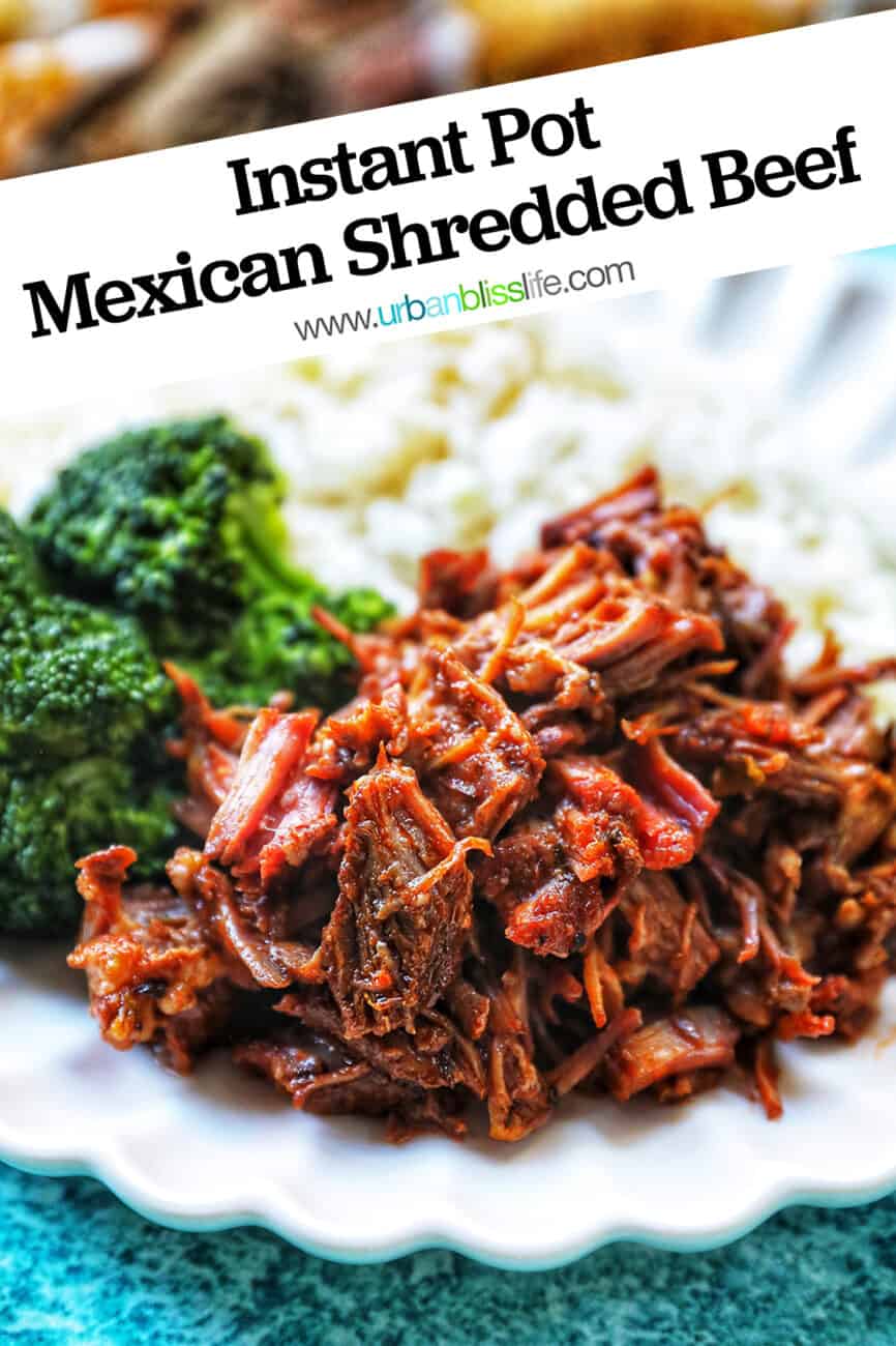 Mexican shredded beef on a plate with rice and broccoli.