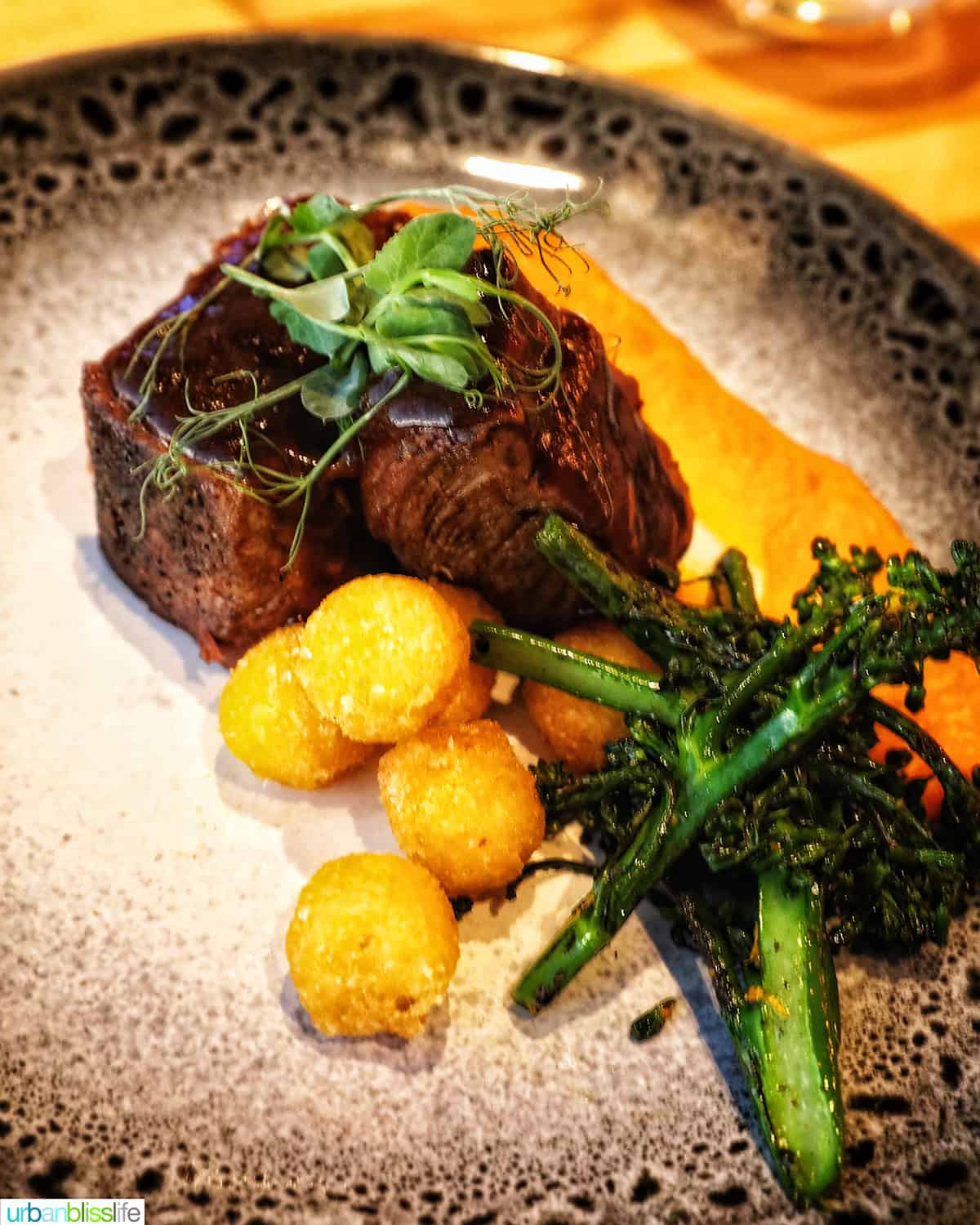 Alberta braised short ribs with potatoes and broccolini on a speckled plate.