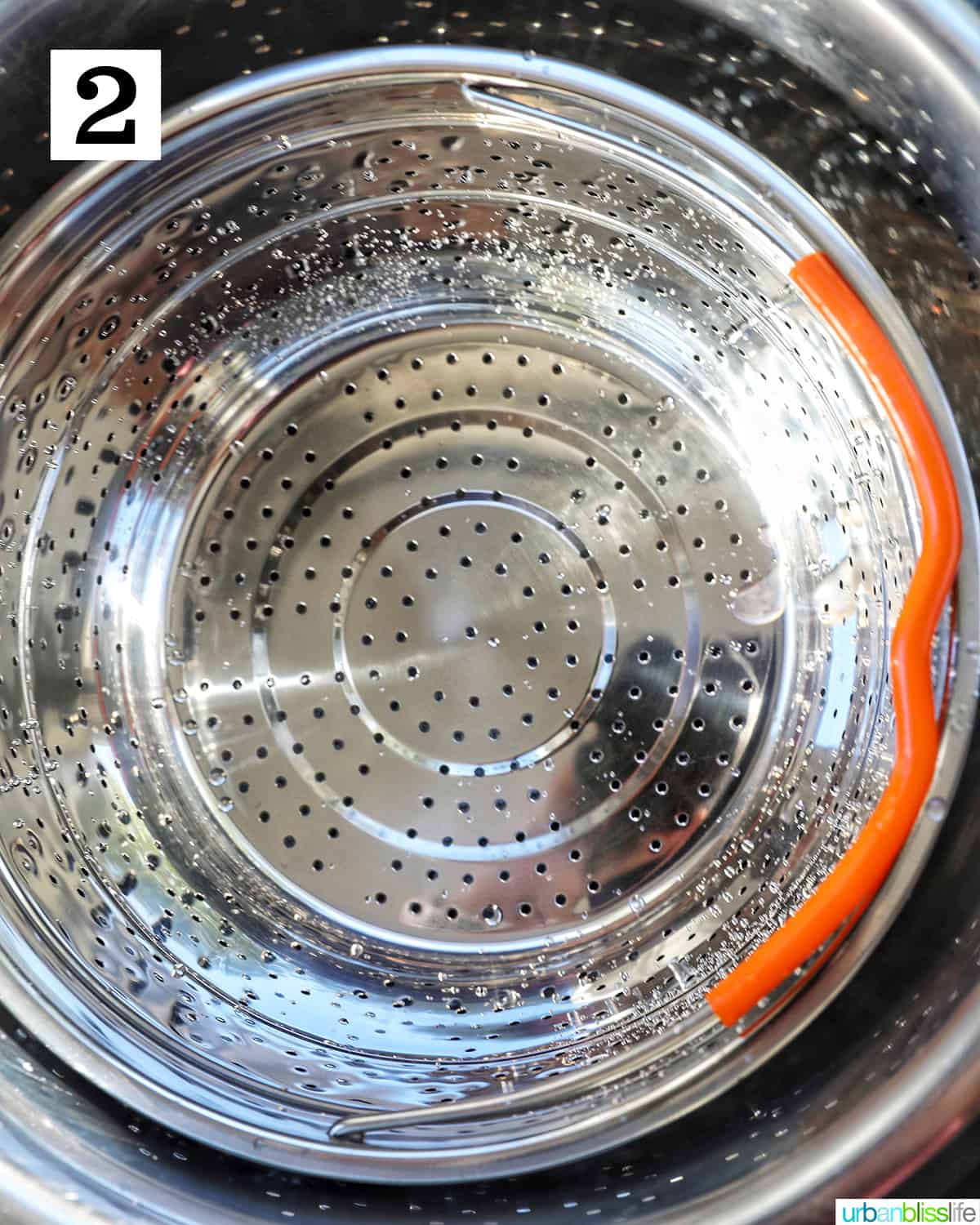 steamer pot for an Instant Pot.