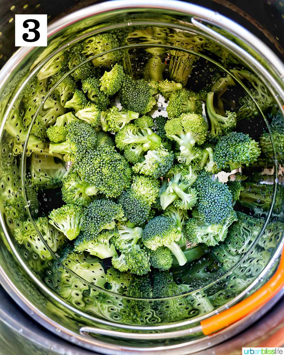 broccoli florets in a steamer basket.