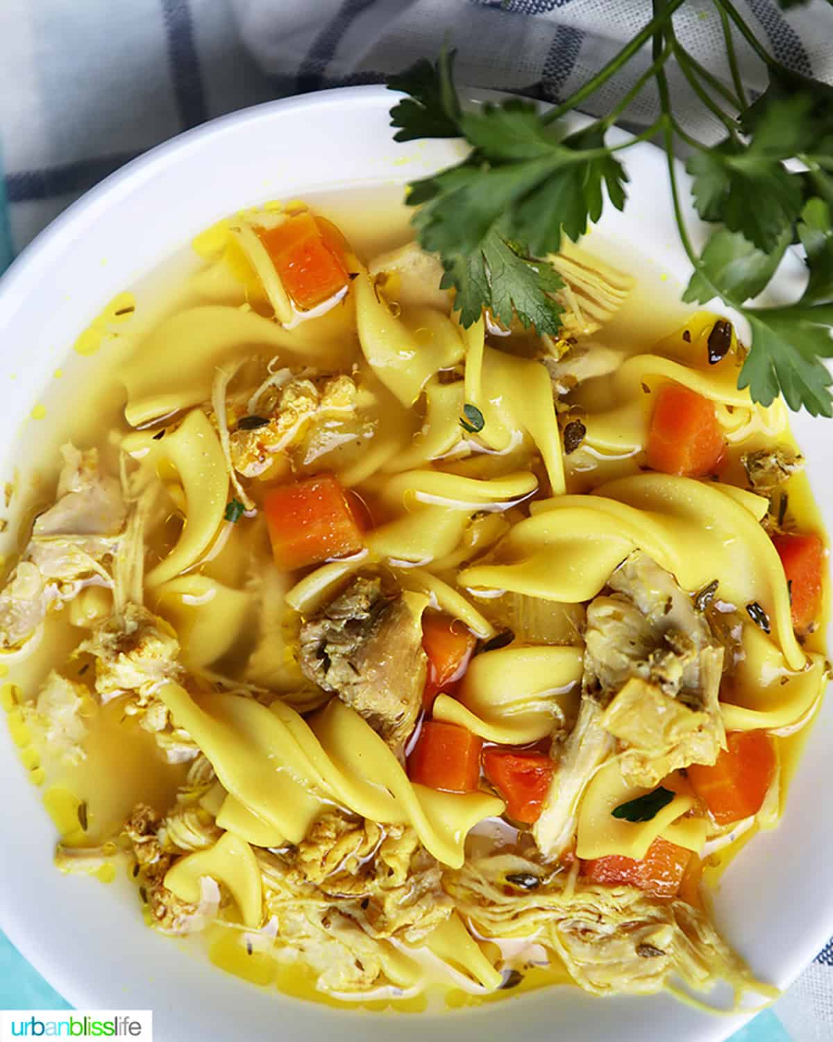 close up of chicken noodle soup with carrots