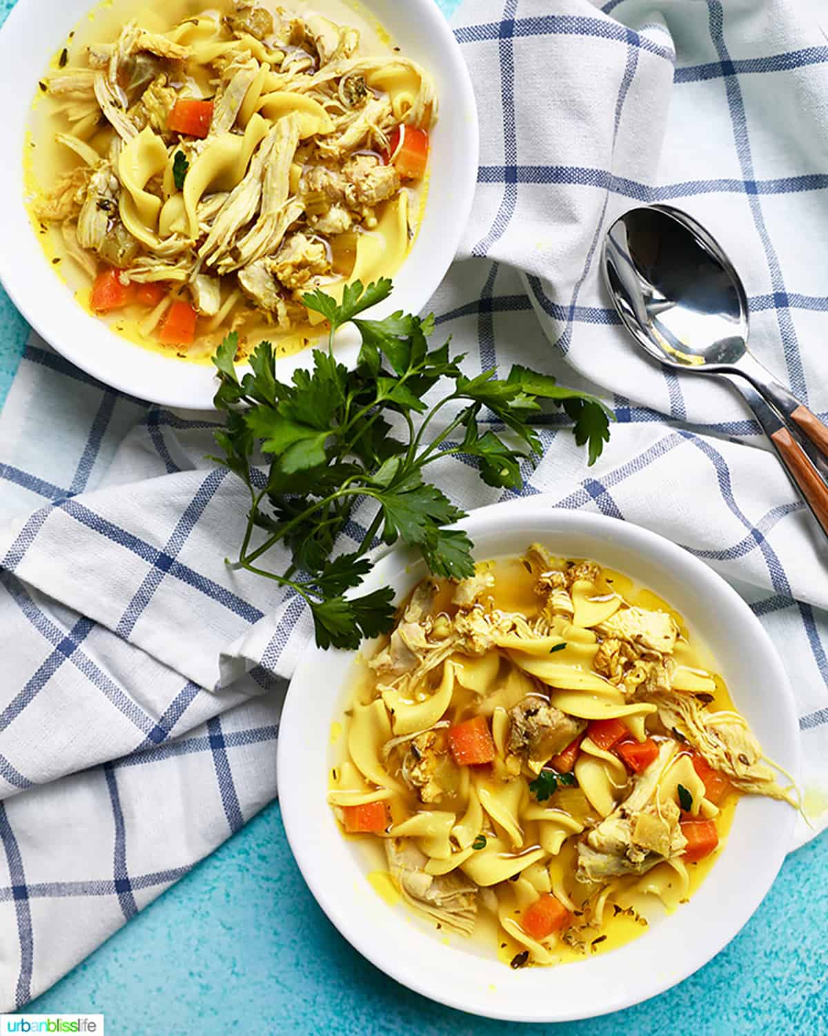two bowls of chicken noodle soup with parsley on a checkered tablecloth