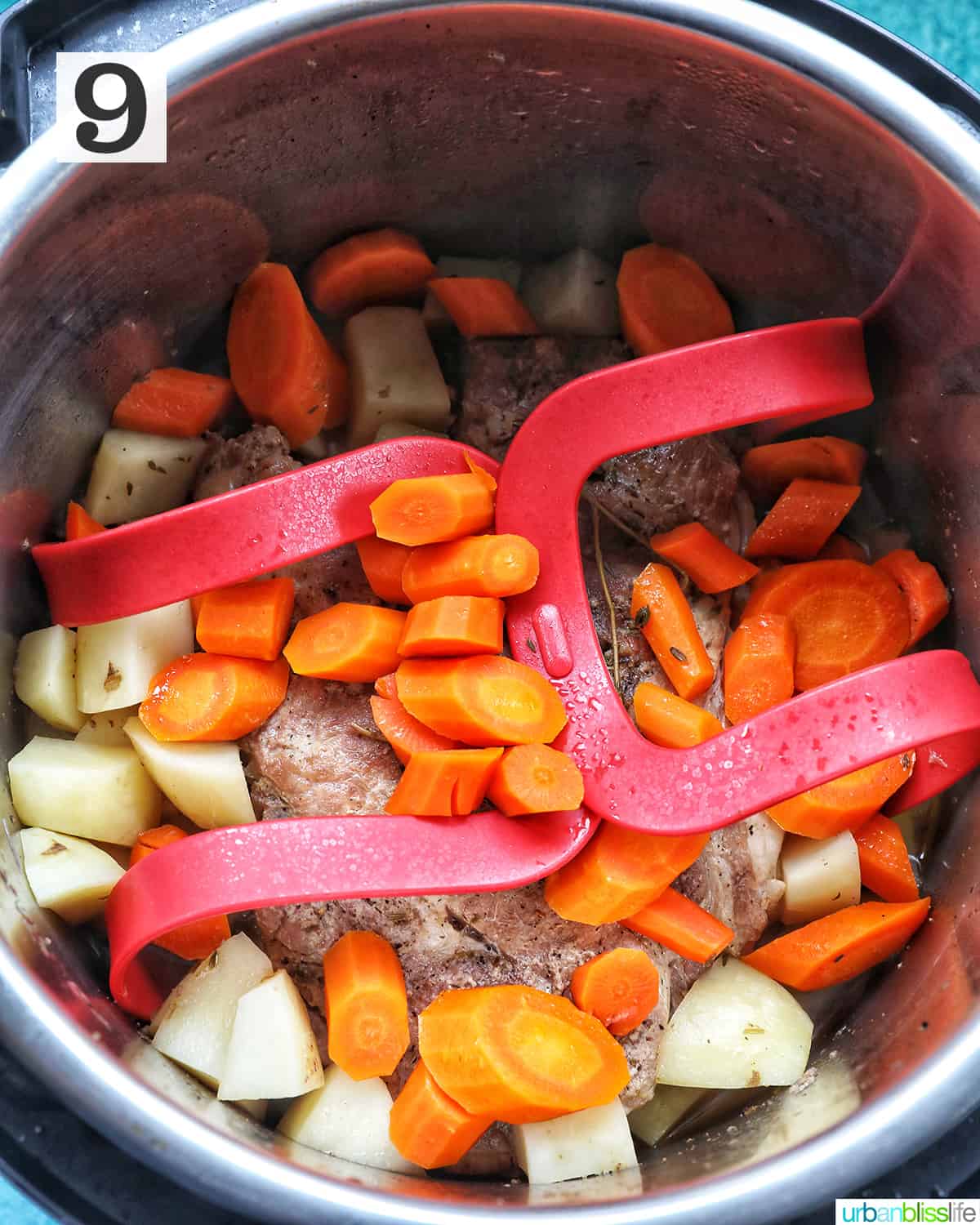 seared pork roast, carrots, and vegetables added to the red sling in the instant pot.