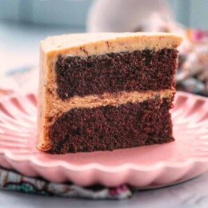 slice of chocolate coffee cake on a pink plate.