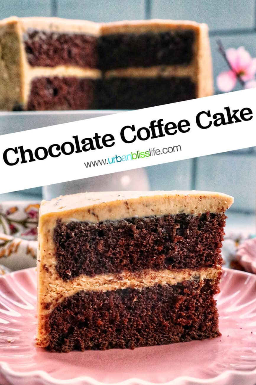 slice of chocolate coffee cake on a pink plate with text that reads Chocolate Coffee Cake.