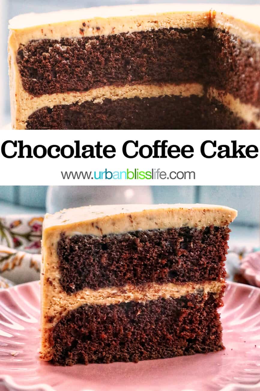 slice of chocolate coffee cake on a pink plate with text that reads Chocolate Coffee Cake.