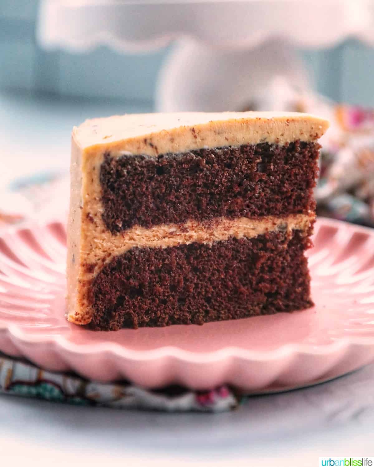 slice of chocolate coffee cake on a pink plate.