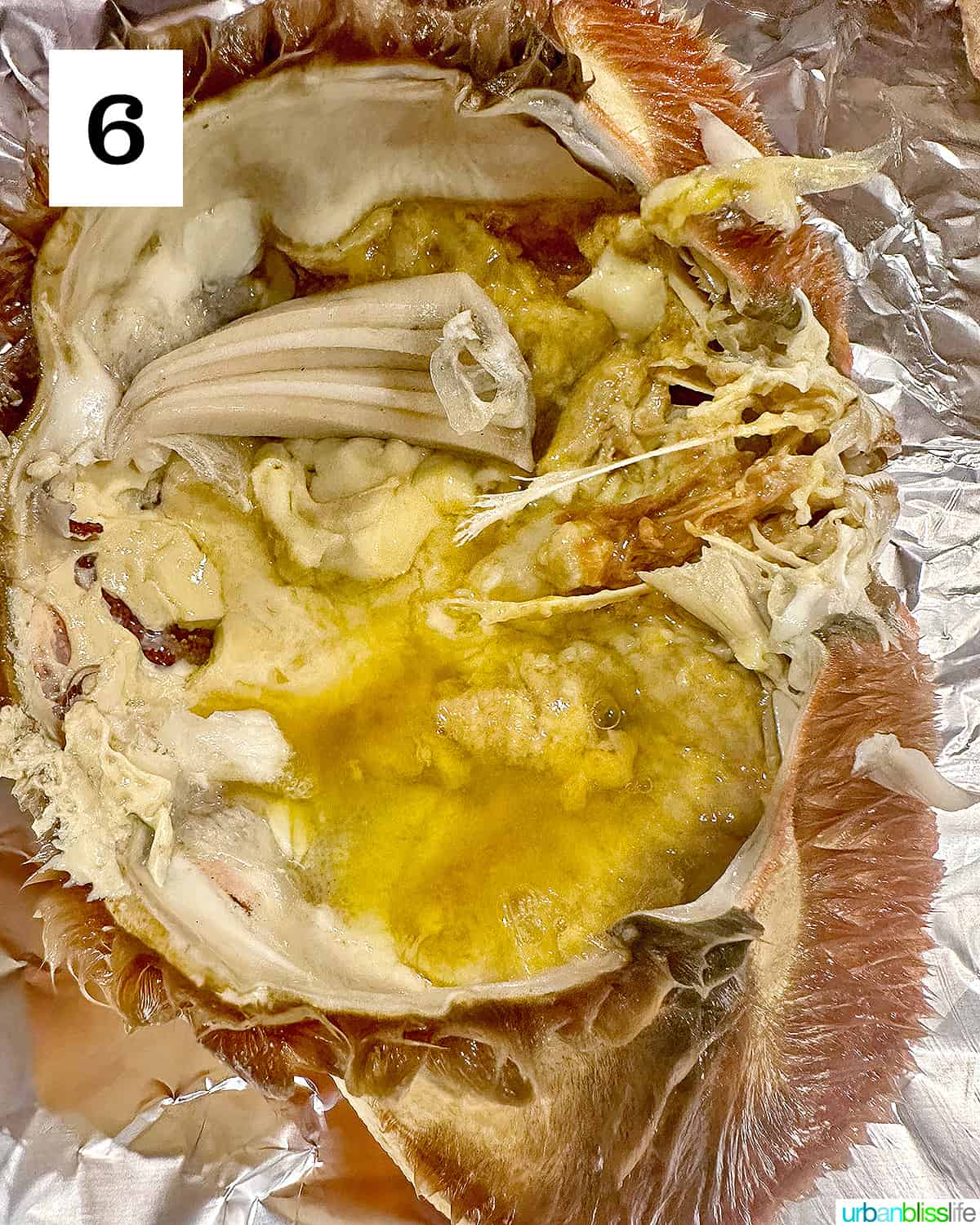 dungeness crab shell open and halved, revealing crab butter.