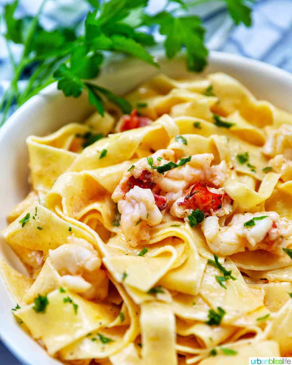 side angle vide of bowl of lobster pasta with side of parsley.