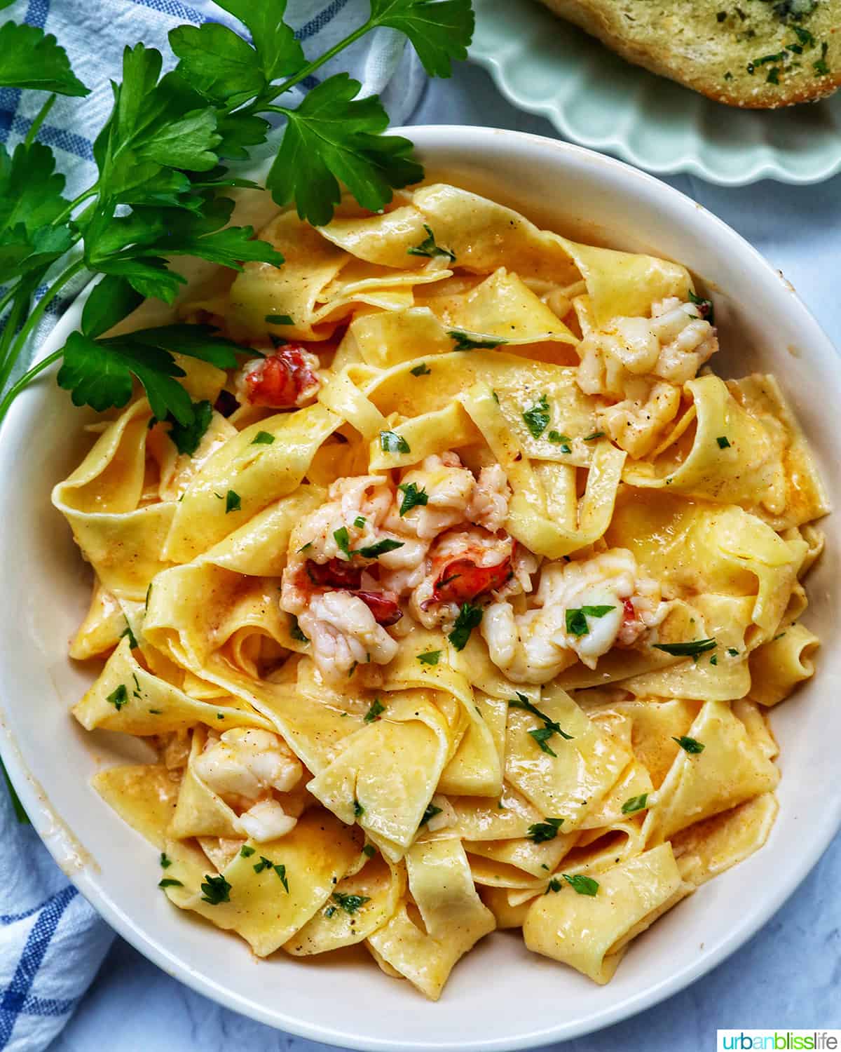bowl of lobster pasta with side of parsley.