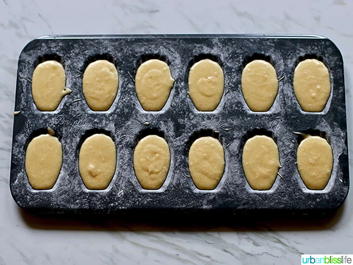 madeleine baking mold pan