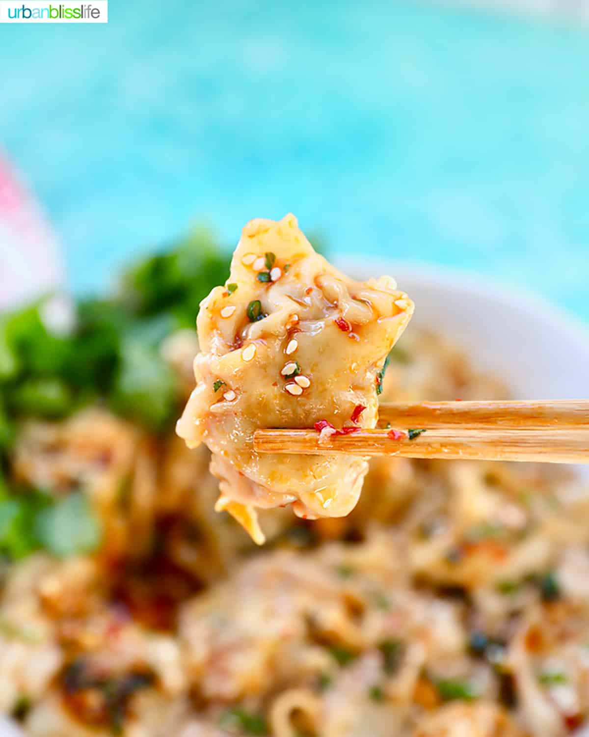 chopsticks holding pork and shrimp wonton in chili oil sauce