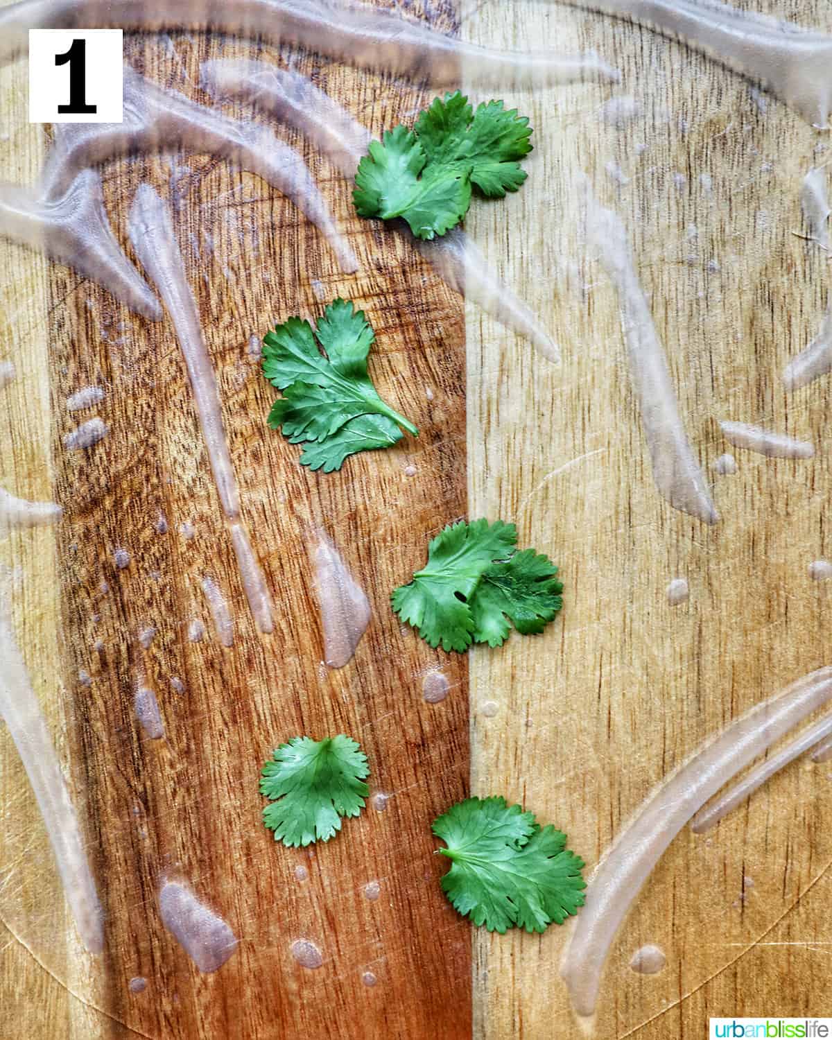rice paper roll with cilantro leaves on a wooden cutting board.