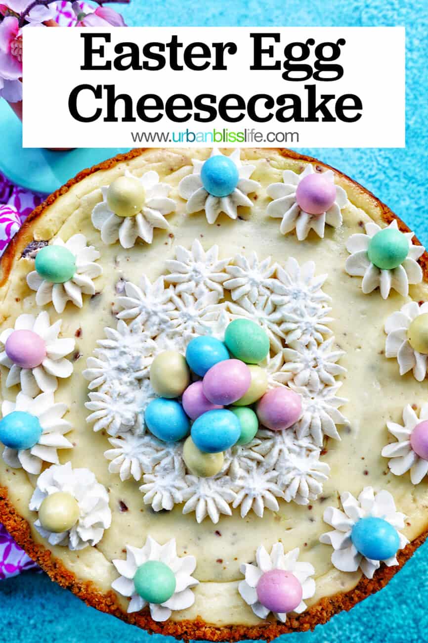 easter egg cheesecake with whipped cream and mini chocolate eggs and text that reads Easter Egg Cheesecake.