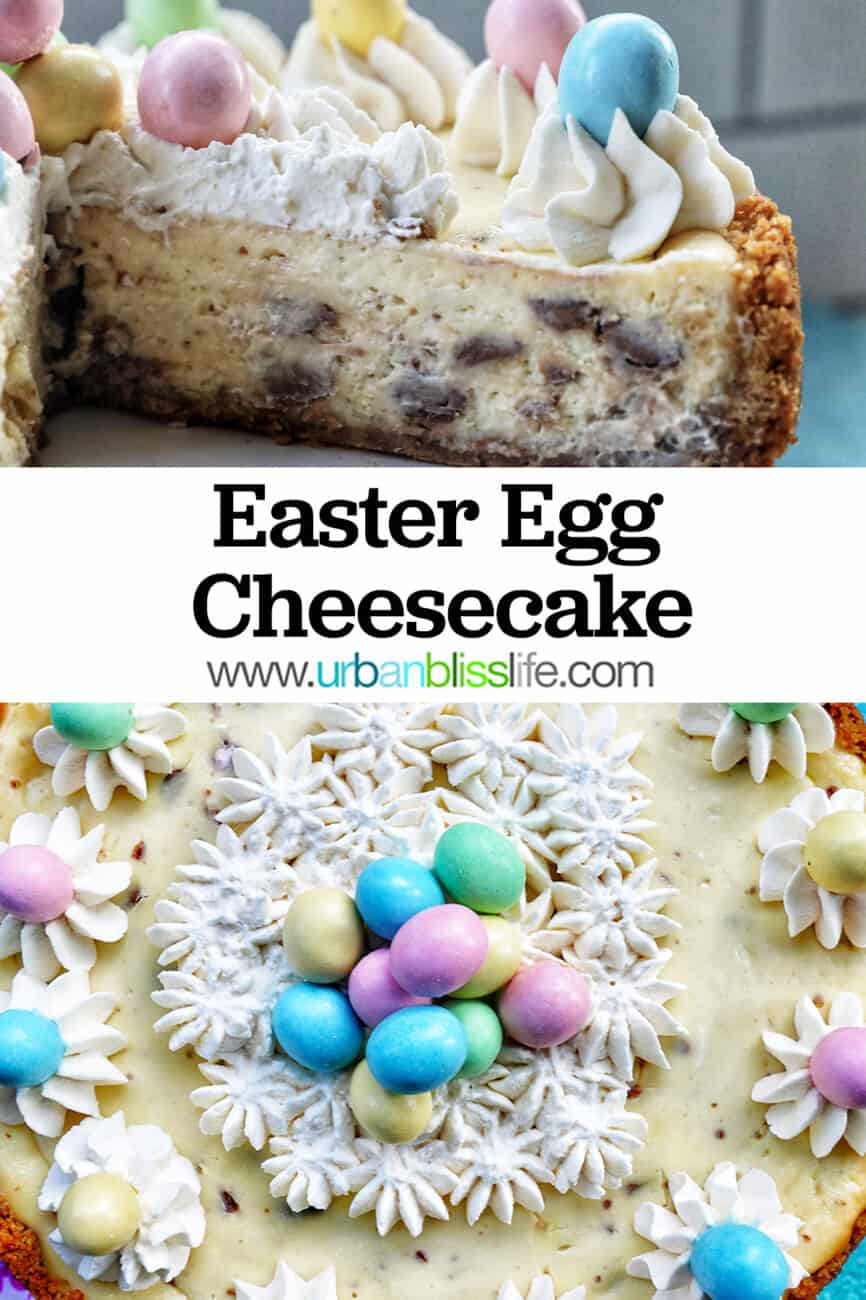 easter egg cheesecake with whipped cream and mini chocolate eggs and text that reads Easter Egg Cheesecake.