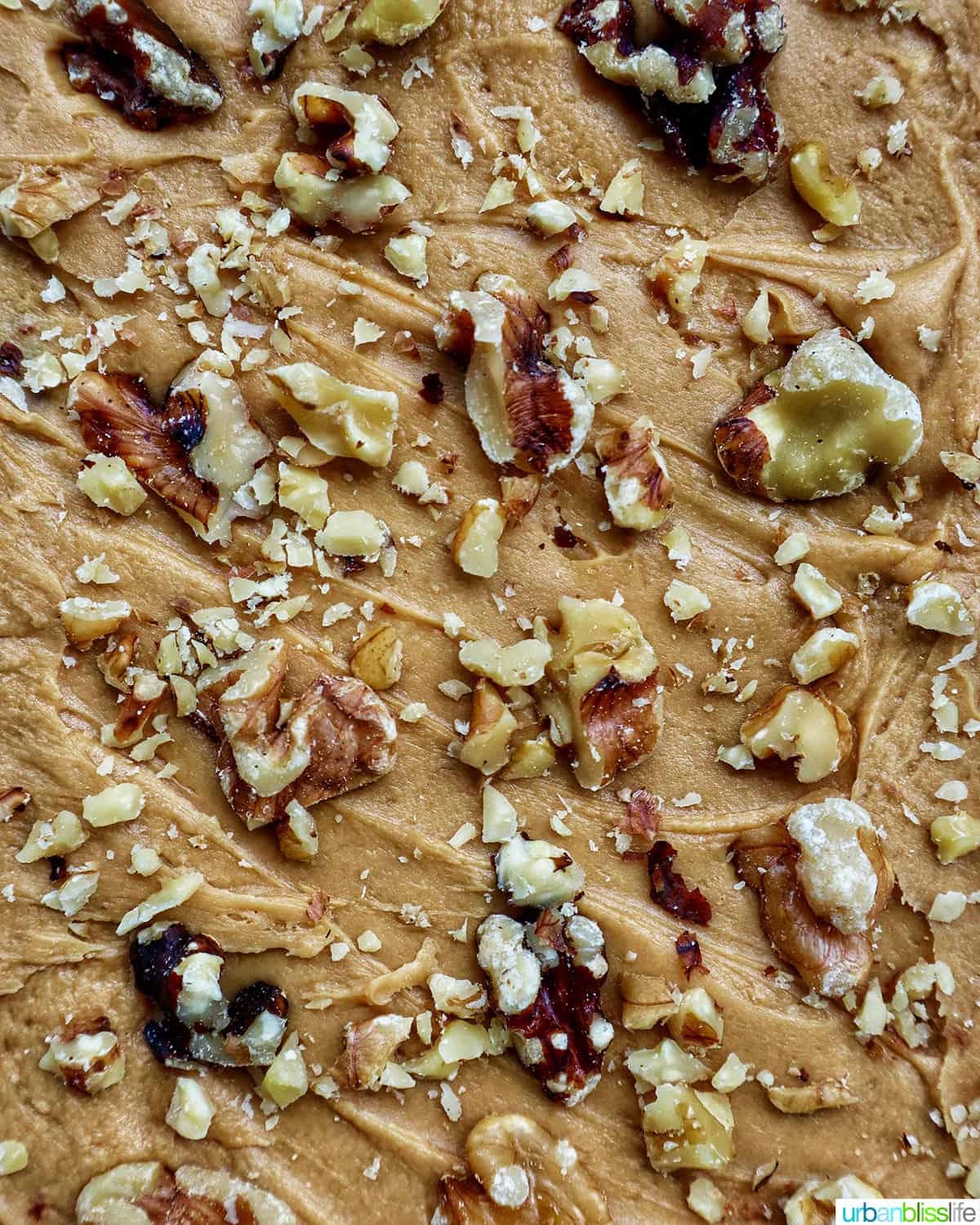 coffee frosting with walnut pieces.