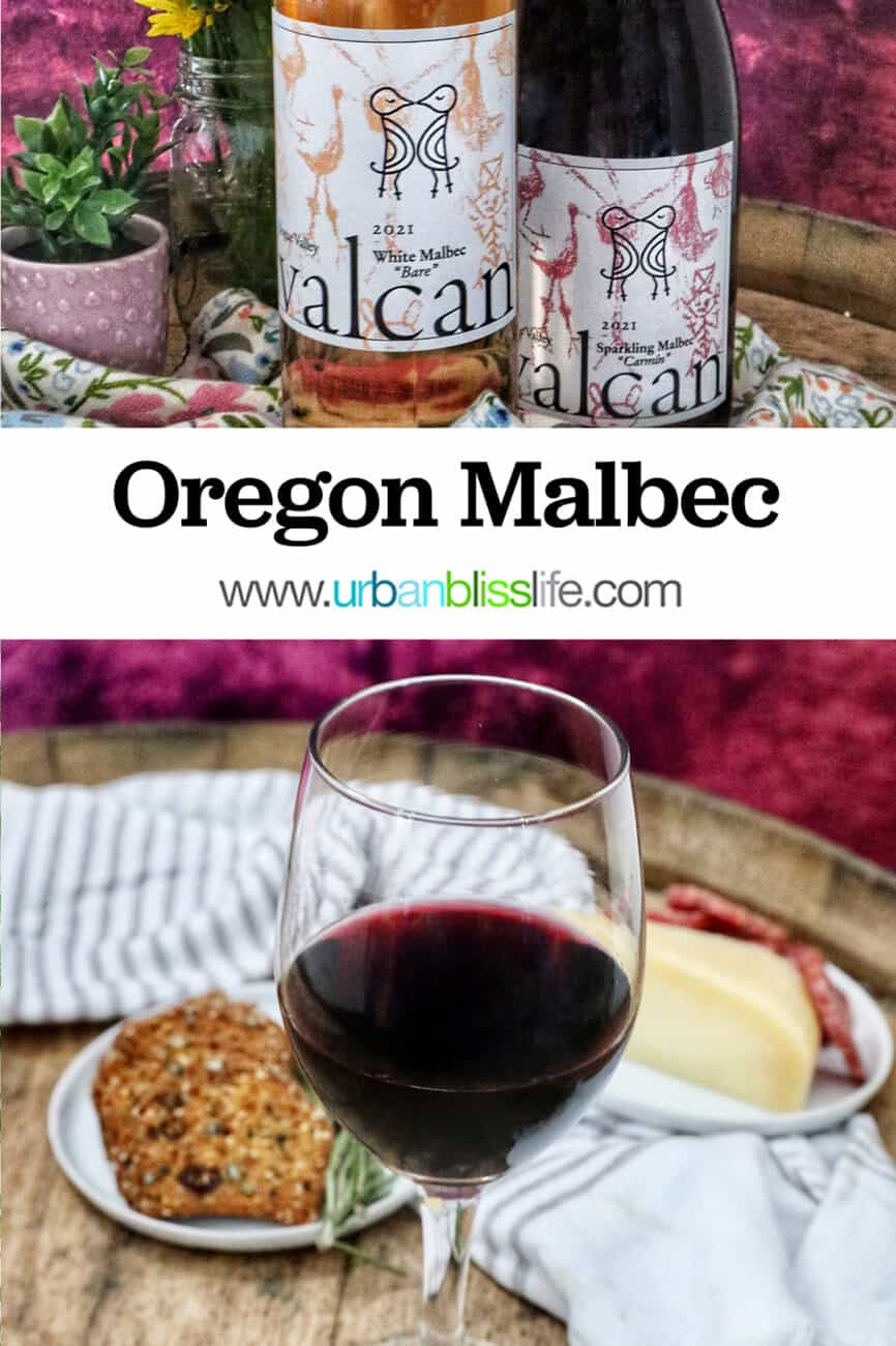 glass of malbec wine with snacks and Valcan Cellars bottle of White Malbec and Sparkling Malbec on spring towel on a wine barrel with spring flowers.