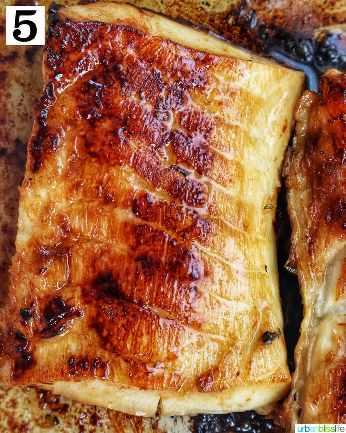 sea bass fillet resting.