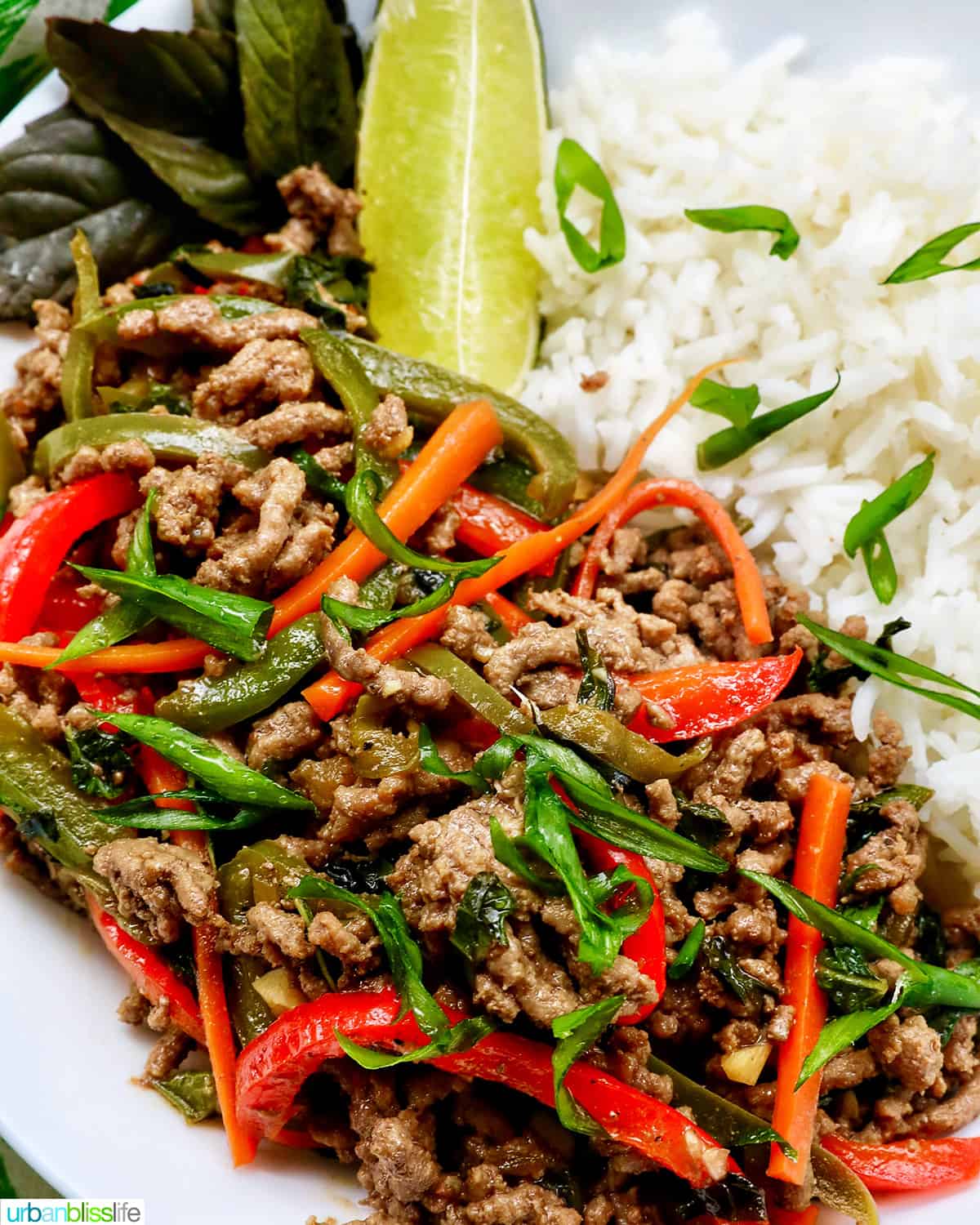 Thai basil beef with red peppers, green onions, and white rice.