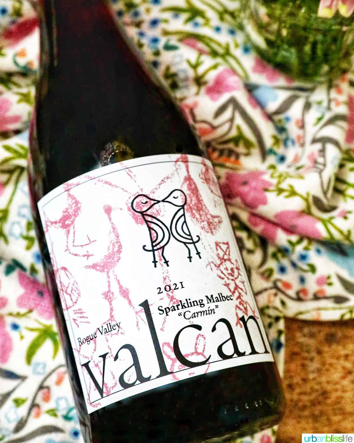 Bottle of sparkling Malbec on a spring towel.