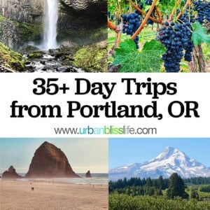 photos of waterfalls, vineyard grapes, haystack rock at cannon beach, and mount hood with title text that reads 35+ day trips from Portland, Oregon.