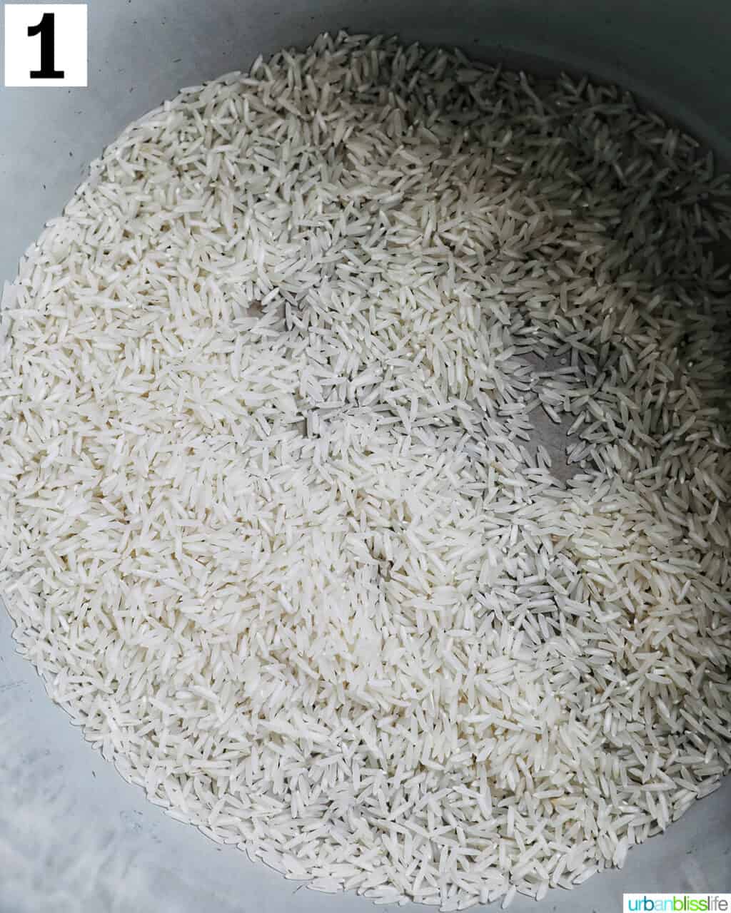white basmati rice uncooked placed into the pot of an Instant Pot pressure cooker.