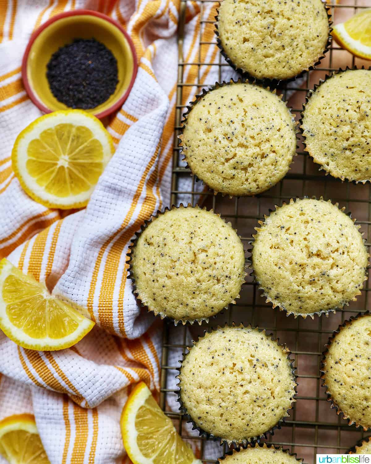 undecorated lemon poppyseed cupcakes next to each other on a cooling rack with side of lemon slices and bowl of poppyseeds.