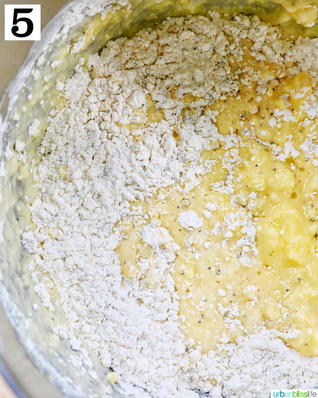 dry ingredients added to wet ingredients to make lemon poppyseed cupcakes.