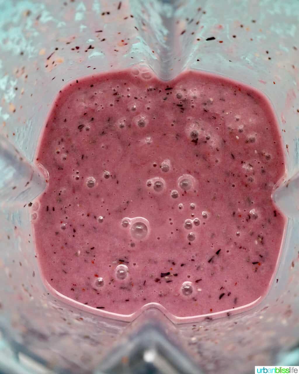Blueberry Pineapple Smoothies blended in a Vitamix blender.