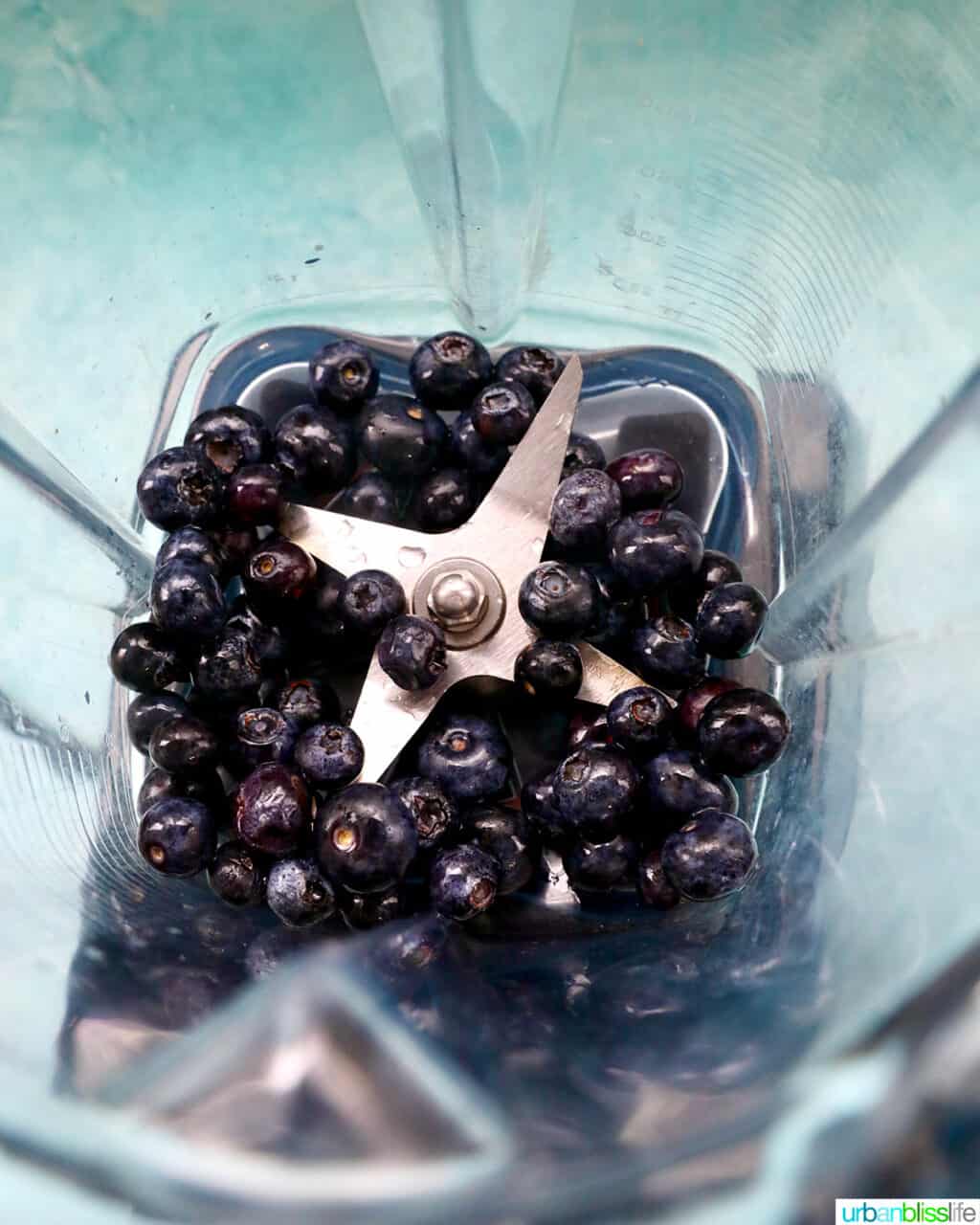 blueberries in a Vitamix blender.