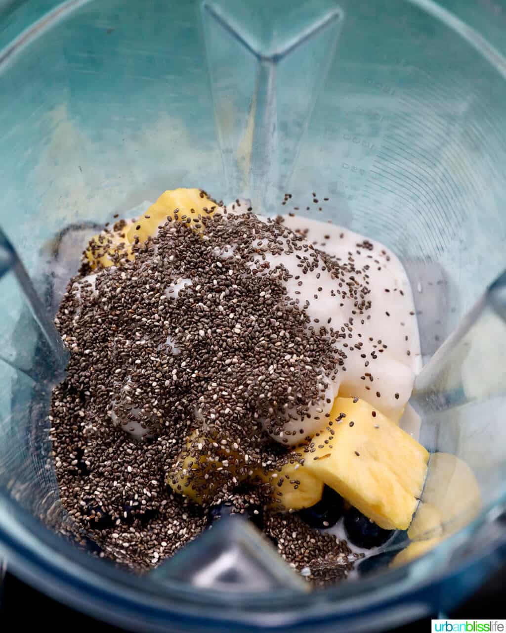 chia seeds, yogurt, pineapple chunks and blueberries in a Vitamix blender