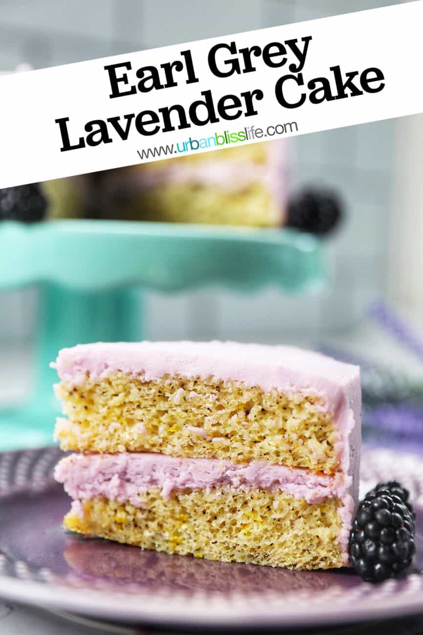 slice of earl grey lavender cake on a purple plate with blackberries.