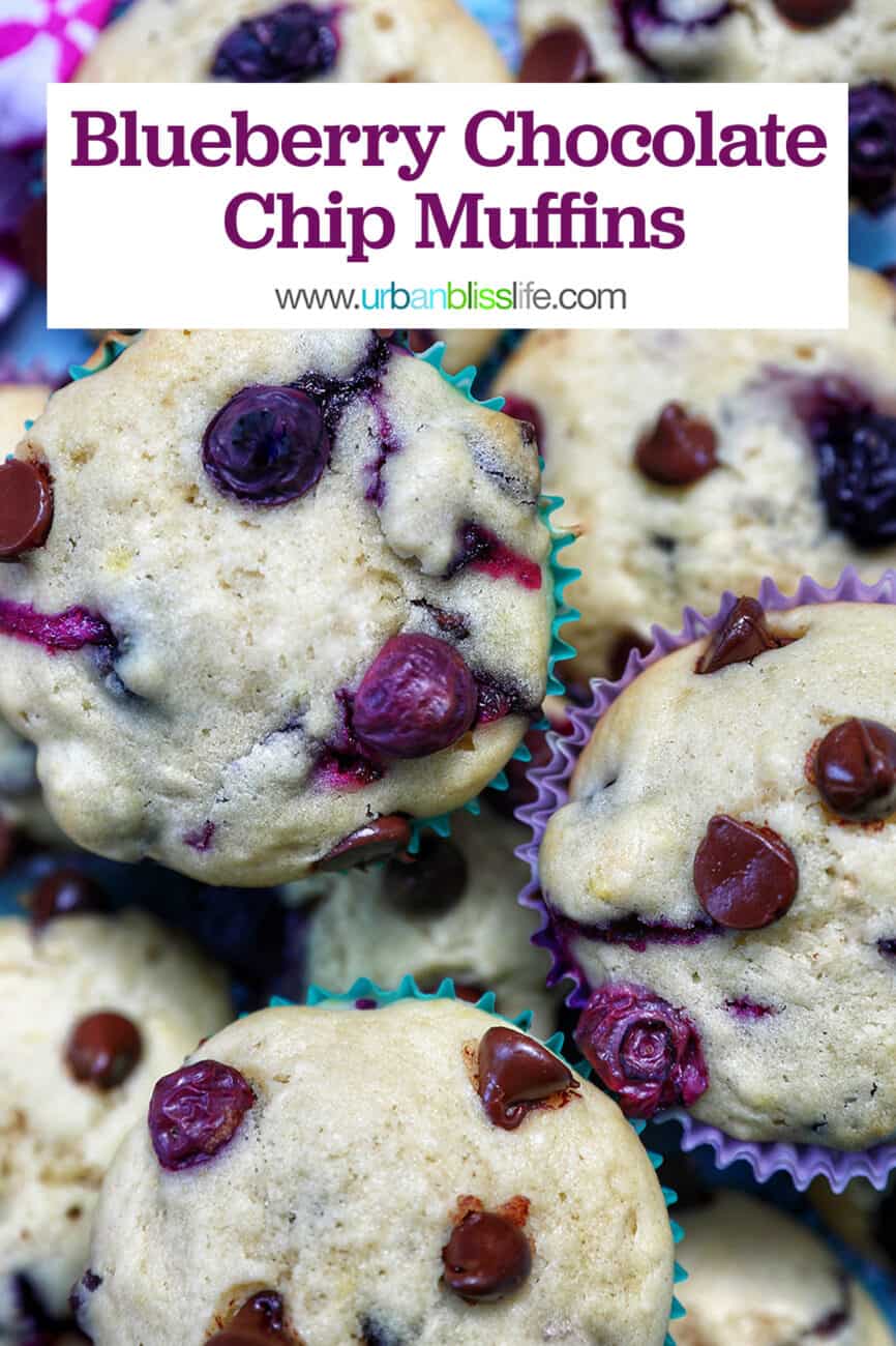 several blueberry chocolate chip muffins stacked on top of each other on a plate with title text that reads "Blueberry Chocolate Chip Muffins."