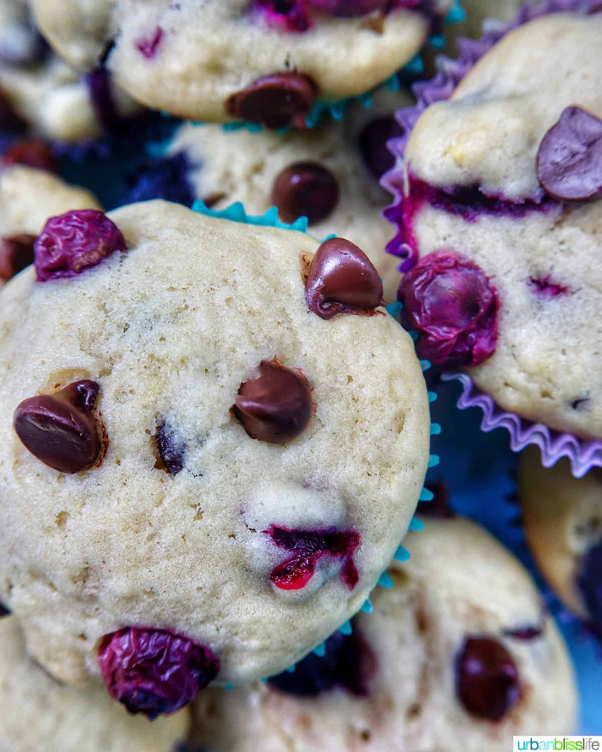 several blueberry chocolate chip muffins stacked on top of each other on a plate.