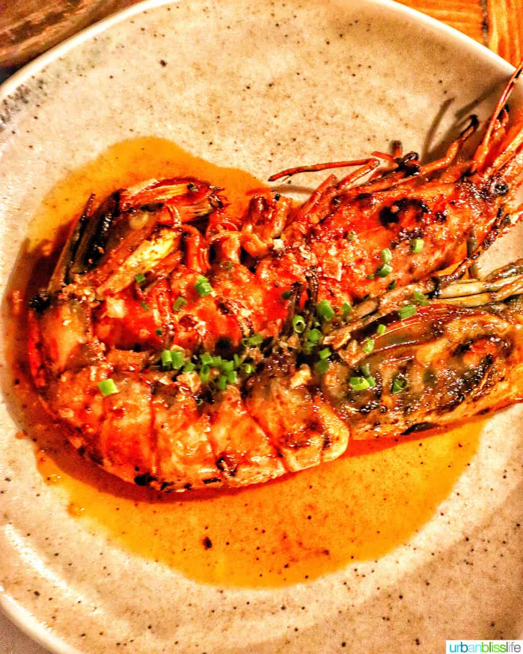 prawns at cava bodega in galway, ireland
