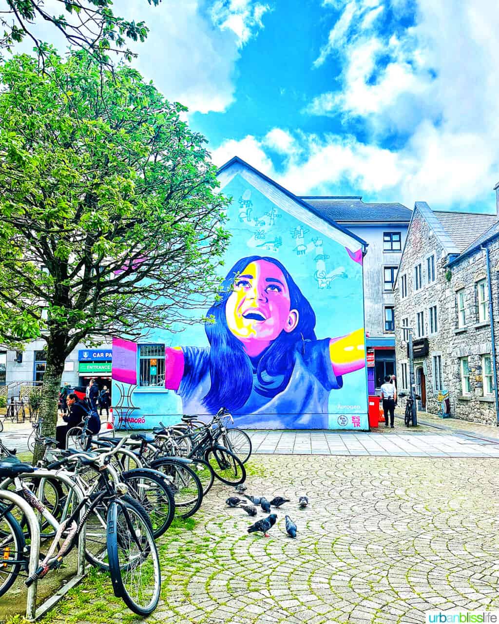 colorful mural in galway, ireland