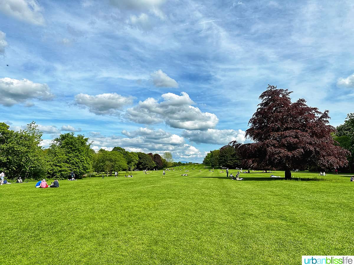 kilkenny castle green
