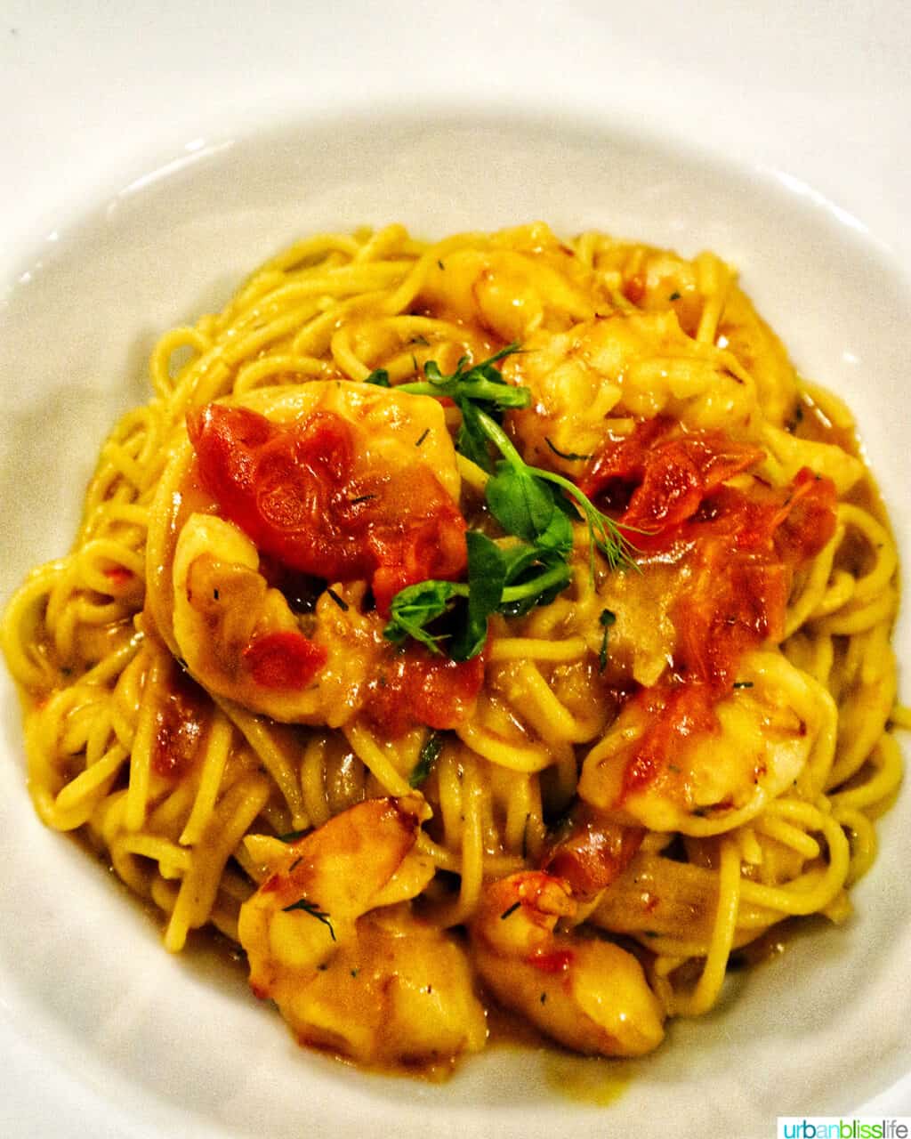 pasta with prawns at ristorante rinuccini in kilkenny, ireland