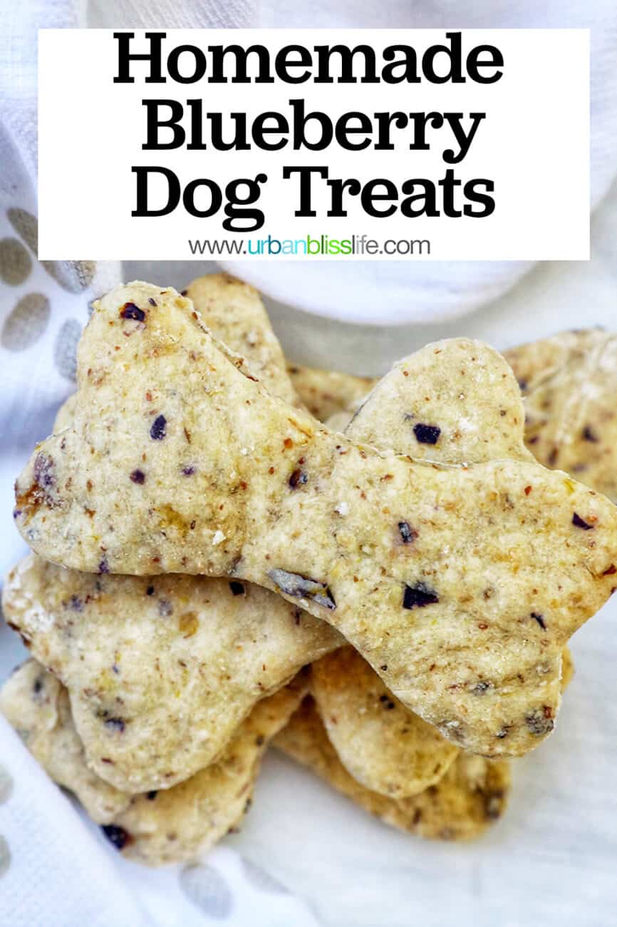 stack of homemade blueberry dog treats cut out in the shape of dog bones on a dog paw printed towel with title text overlay.