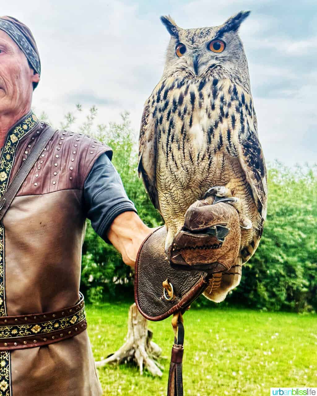 falcon trainer holding a large owl on his arm at Falcon Farm in Almaty Kazakhstan.