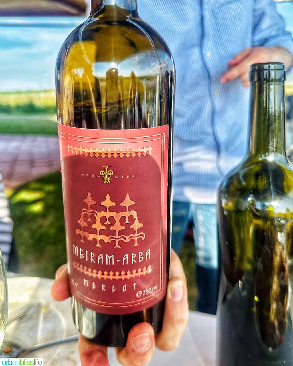 hand holding a bottle of red Kazakhstan wine.