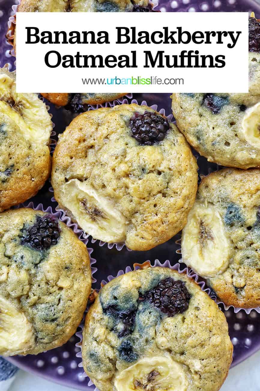 purple plate with several banana blackberry oatmeal muffins on top with title text.