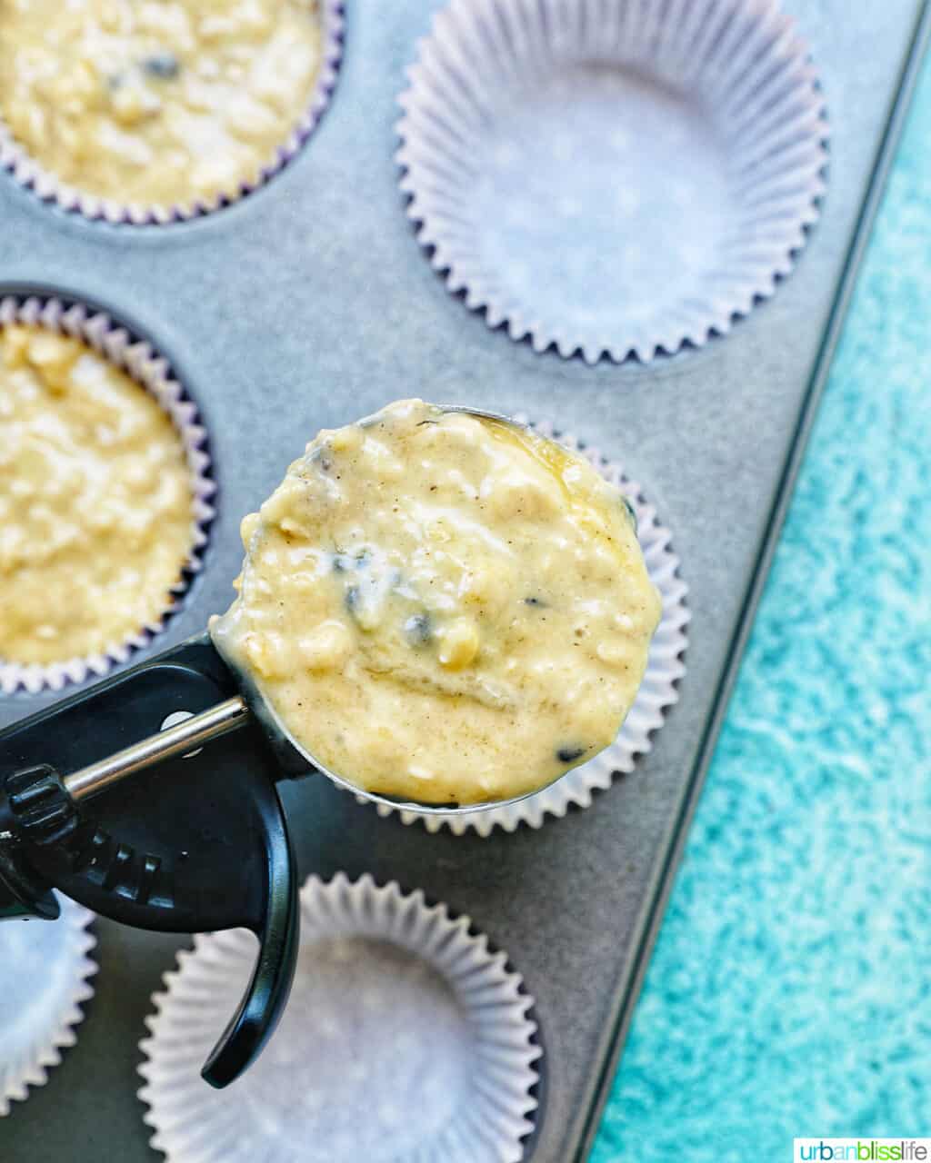 Scoop of muffin batter over lined muffin cups.