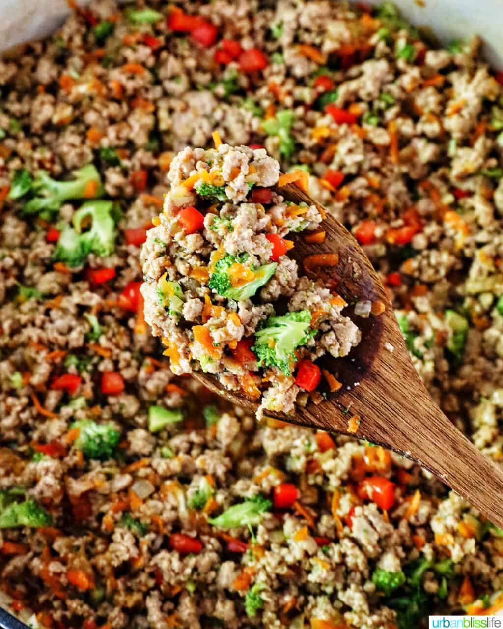 Ground Turkey Teriyaki brown rice bowl with green onions, broccoli, carrots, and red bell peppers.