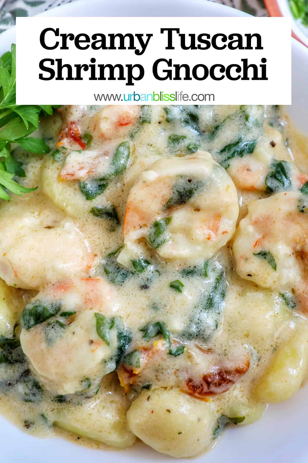 Tuscan Shrimp Gnocchi in a white bowl with garnish of parsley leaves with title text.
