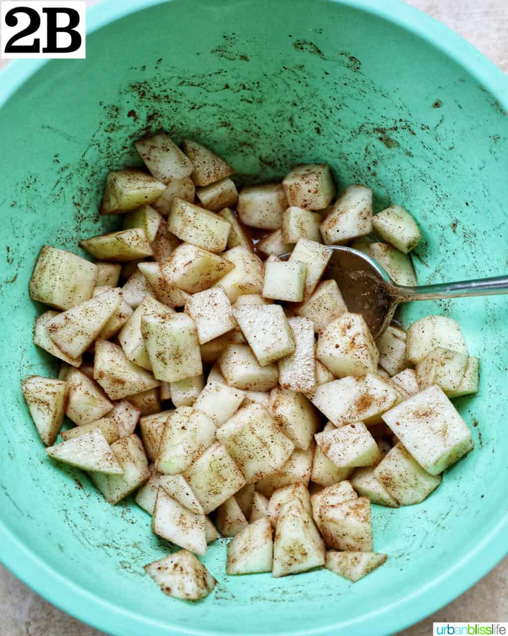 green bowl with diced apples and spices.
