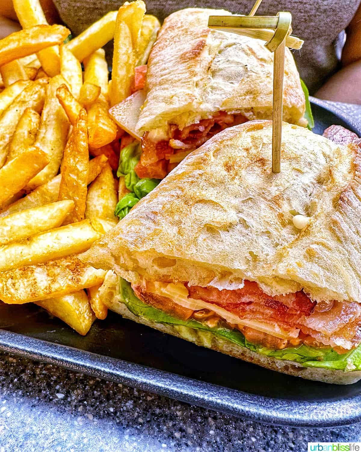 BLT sandwich and fries at Dubh Linn Gate Pub in Whistler BC Canada.