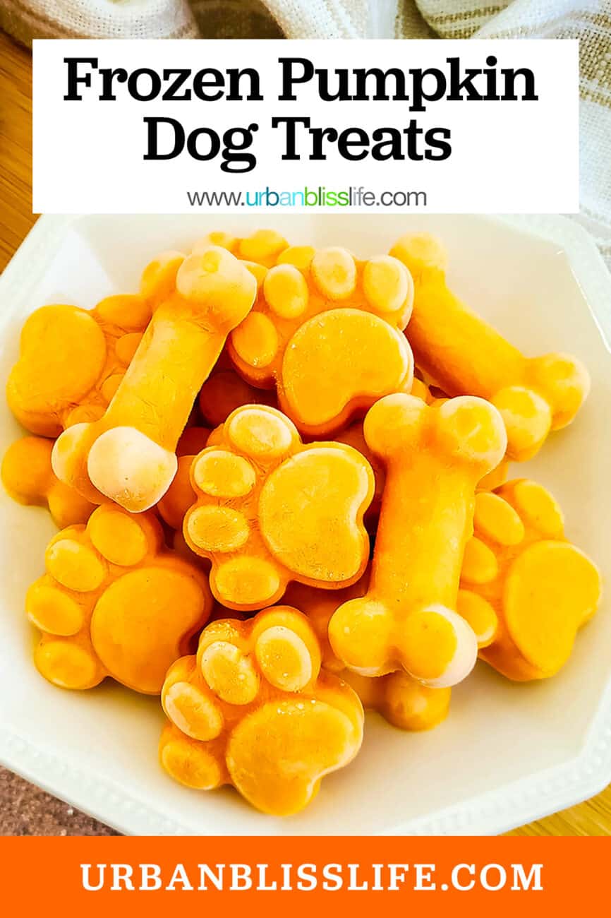 plate full of frozen pumpkin yogurt dog treats with title text.