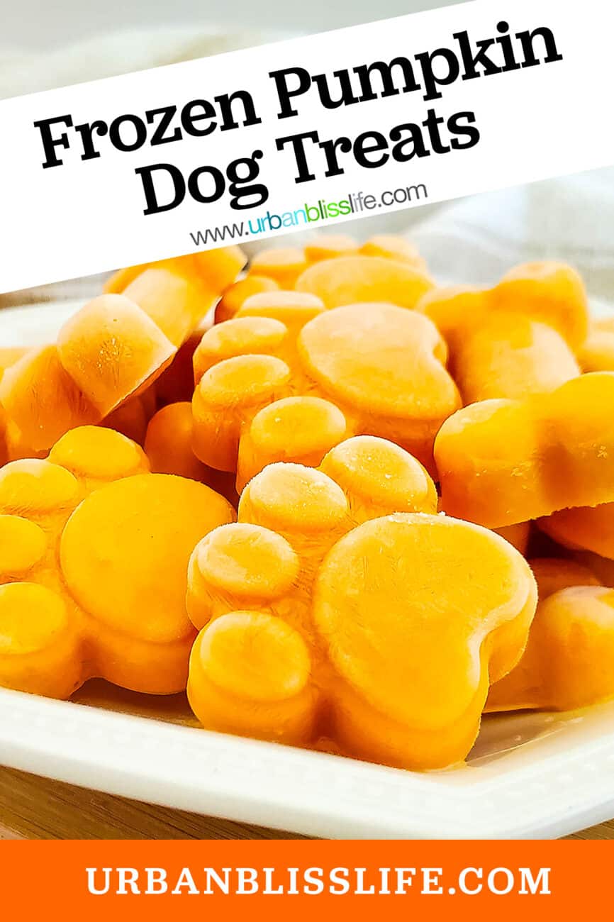 plate full of frozen pumpkin yogurt dog treats with title text.